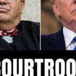 Another day another federal court stuffed with activist judges who believe their rulings should be based on hurting President Donald Trump