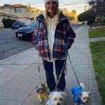 My Husband Tried to Sell My Animal Shelter to Build a House for His Pregnant Mistress – I Made Sure He Regretted It