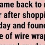 The Strange Wire Found on a Car Door: Harmless Prank or Something More Serious?