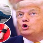 Donald Trump Makes Strong Remarks on Possible Prison Sentence as Reflecting Pool Faces New Issue